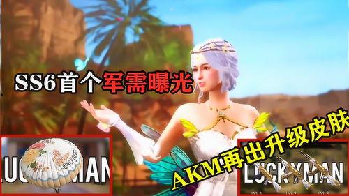 军需新皮肤最新爆料升级枪,枪械美学与实战性能的完美融合 第3张 军需新皮肤最新爆料升级枪,枪械美学与实战性能的完美融合 第3张